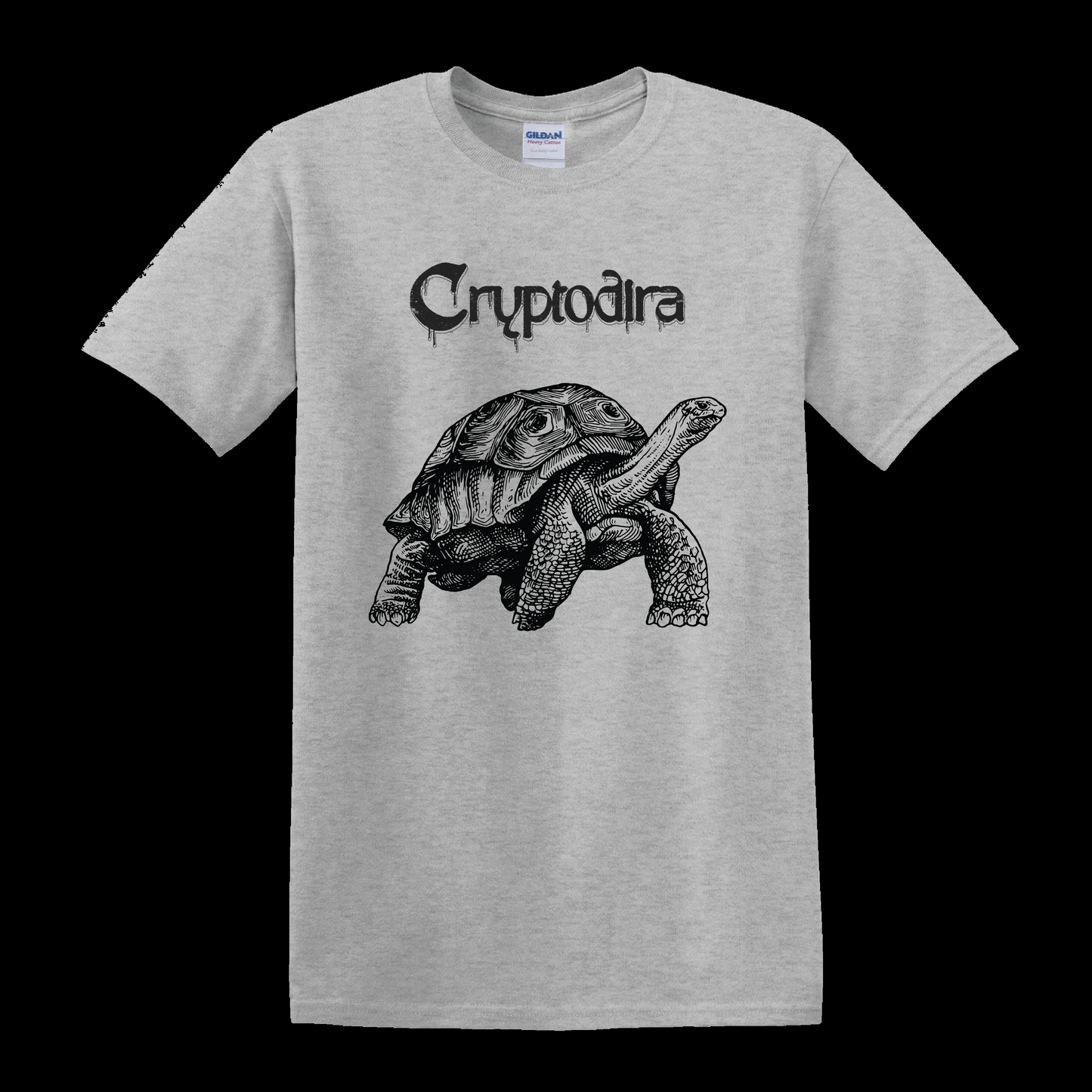 "Turtle T-Shirt"